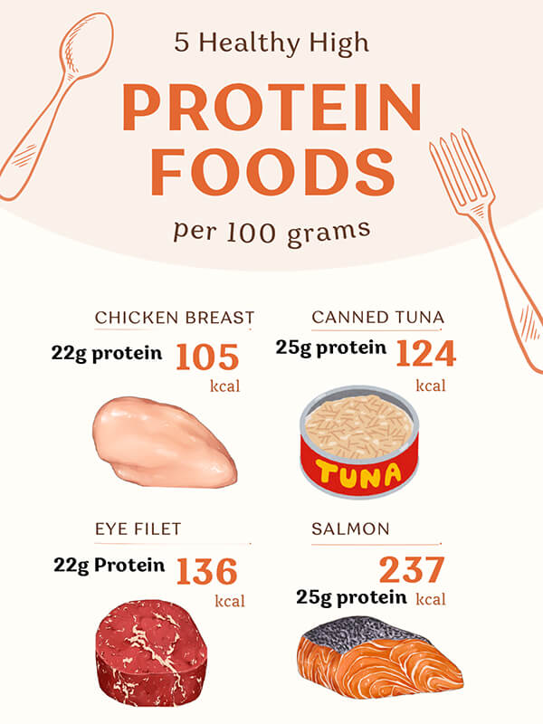 Fact Sheet for Illustrative Healthy High Protein Foods Infographic